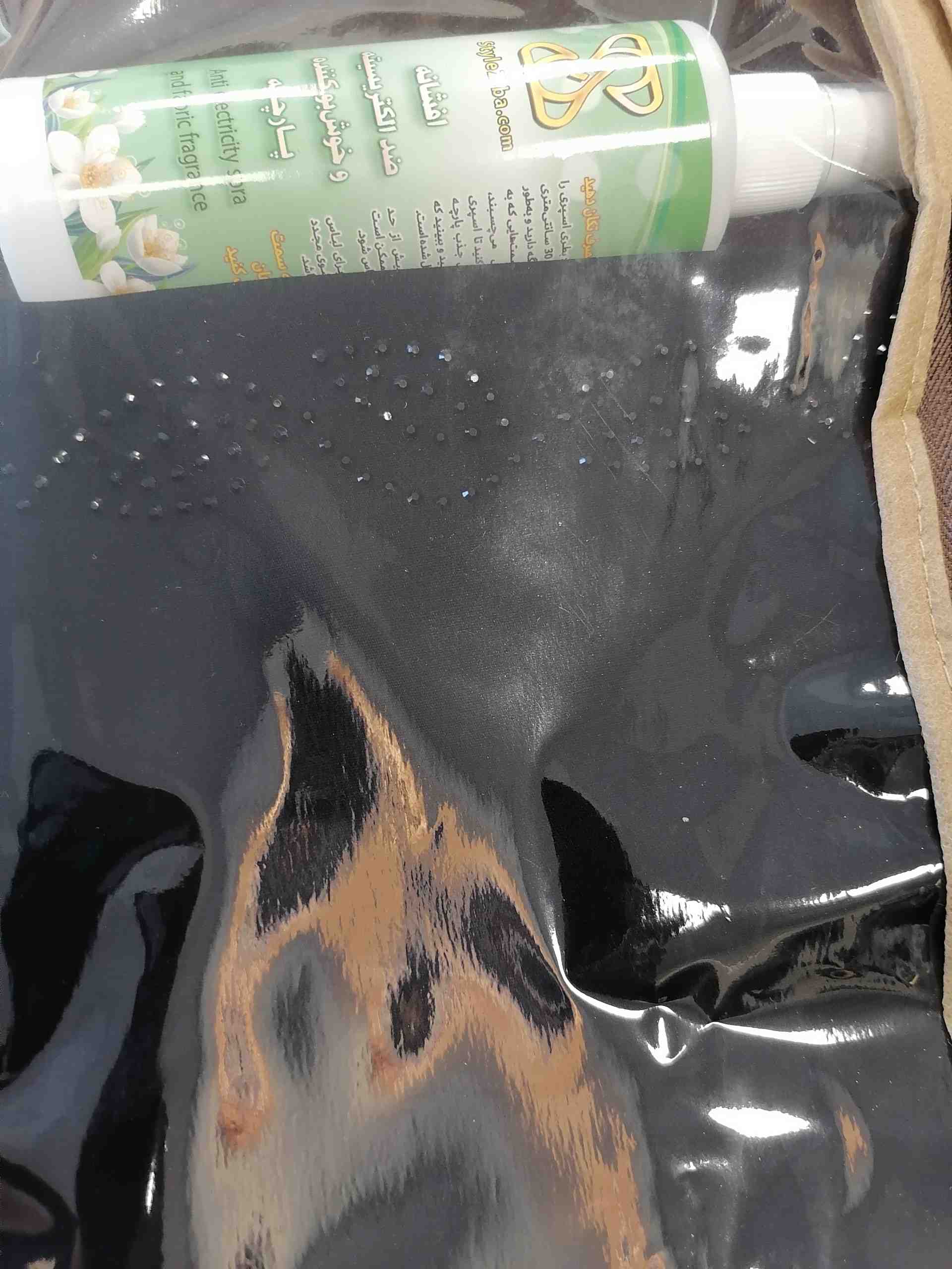 عکسِ دیدگاه